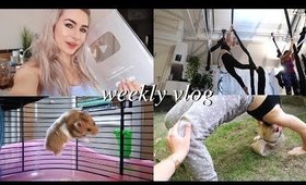 INTRODUCING MY NEW PET! | Weekly Vlog #62