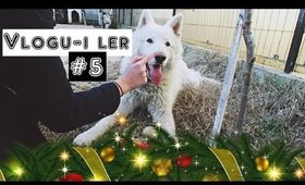 Vlogu-i Ler #5: ce surpriza, iar animale ^^ | The Pretty Blossoms