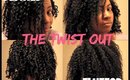 Defined Twist Out vs Fluffed Twist Out | Fine Natural Hair