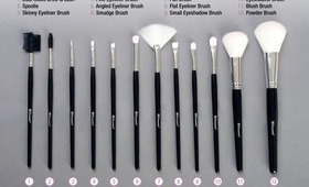 BH Cosmetic 12 Piece Brush set