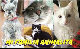 😽Conoce  a mi famila de Animalitos ! 🐶/ Meet my Pet Family 🐈| auroramakeup