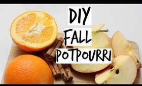 DIY Simple Fall Potpourri