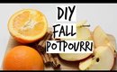 DIY Simple Fall Potpourri