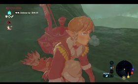 Girl plays Breath of the Wild BLIND STREAM PLAYTHROUGH. Part 20