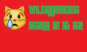 Vlogmas Day 11&12: The No Good Very Bad Days