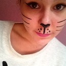 Kitty cat makeup
