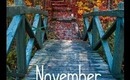November Favorites 2012!