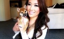 EEVEE FAQ & Formal Intro : ) My new Shiba Inu Puppy