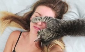 VLOG #98 - Cat attack!