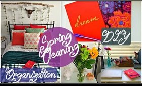 Spring Cleaning, DIY's, Organization & More!