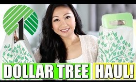 DOLLAR TREE HAUL | MARCH 2018