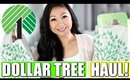 DOLLAR TREE HAUL | MARCH 2018