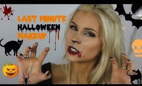 Last Minute Halloween Makeup (Scary Cat)