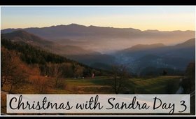 Birthday Celebrations | Christmas with Sandra Day 3