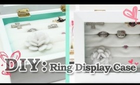 DIY: Ring Display Case