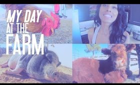 My Day At V's Animal Sanctuary + Snack Recommendations