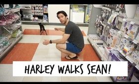 Harley Walks Sean! | May 26 & 27, 2016