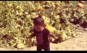 Pumpkin Patch 2014 Live Oak Canyon     (Created with @Magis
