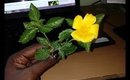 Amazing Damiana Plant Benefits + Passion Flower II Goddess Elixir!