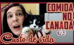 CUSTO de VIDA no CANADÁ: Compras de Supermercado #3