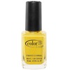 Color Club Professional Nail Lacquer Almost Famous