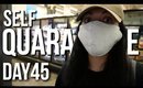 Self Quarantined Day Vlog 45 : Food Shopping 45 days Later
