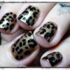 Rockabilly Luau Leopard Print