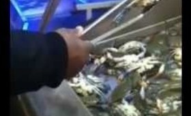 Just crabbin