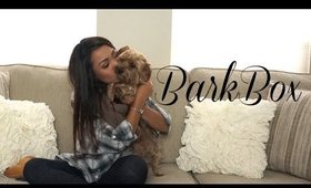 BarkBox with Sushi-bear! | Charmaine Dulak