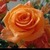 عبير ا.