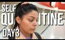 Self Quarantined Day 3 Vlog : My Grocery Pick Up Experience