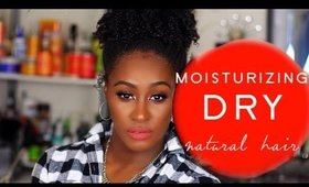 How to Moisturize DRY Low Porosity Natural Hair | Shlinda1