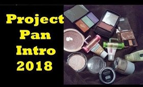 Project Pan Introduction