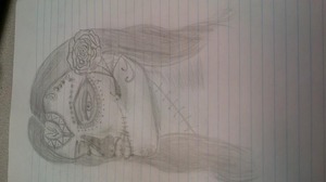 This is a bit rougher than my other skulls cuz they were more skull and less face...faces are hard to draw properly...