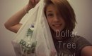 HUGE Dollar Tree HAUL 2015!
