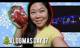 🎄 VLOGMAS DAY 17: REINDEER POOP, FREE LIGHTS AT CELEBRATION IN THE OAKS | MakeupANNimal