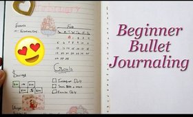 Beginner Bullet Journaling