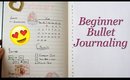 Beginner Bullet Journaling