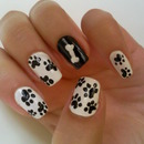 Paw nails