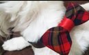 DIY Christmas Bow  Tie for Fur Kids