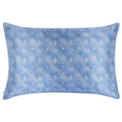Slip Queen/Standard Silk Pillowcase Bluebelle