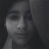 Maddy V.
