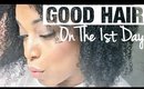 How To Blow Dry  for VOLUME on FINE THIN NATURAL HAIR | InStyler BLU IONIC Dryer Review || MelissaQ