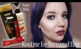 Routine for Damaged Hair (June 2016)