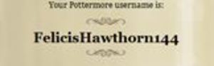 Totally un-beauty related but...guess who got into Pottermore..THIS WIZARD