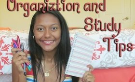 Organization and Study Tips From Krizia