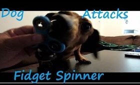 Dog Attackes Fidget Spinner