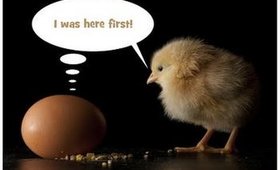 What came first the chicken or the Egg?