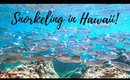 Best Snorkeling in Honolulu Hawaii | Shark's Cove Snorkel Adventure
