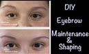 Eyebrow Maintenance & Shaping